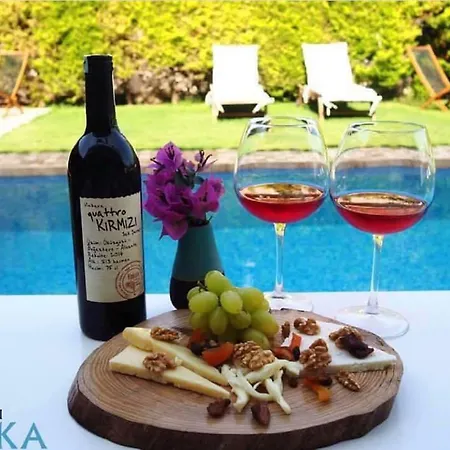 Roka Bed & Breakfast